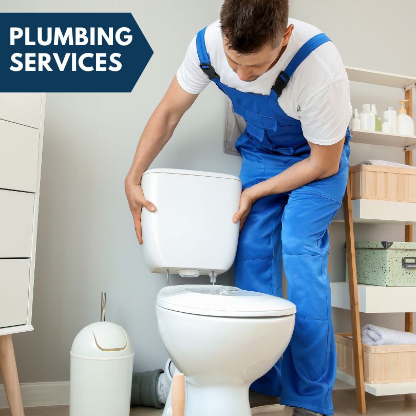 Plumbing Company in Manlius, IL